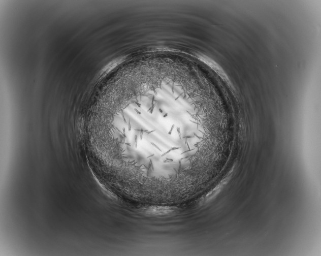 X0000086280849200704122046