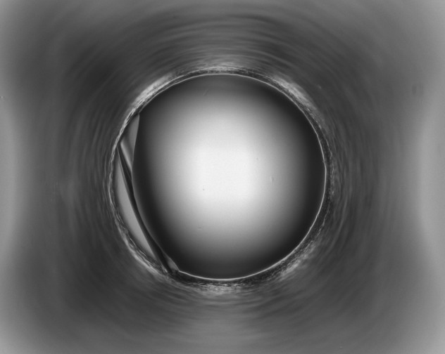 X0000086280850200704122046