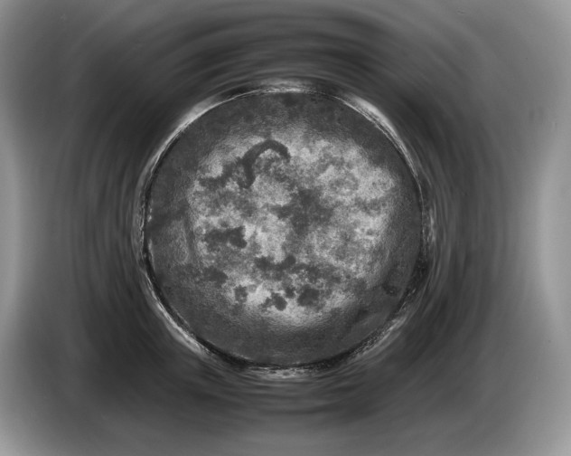 X0000086280851200704122046