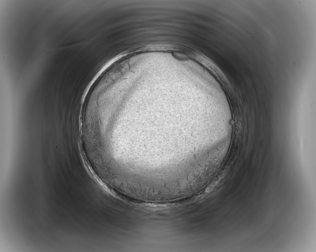 X0000086280852200704122046