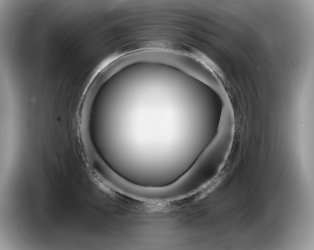 X0000086280854200704122046