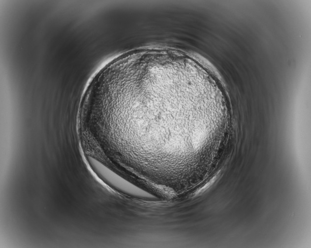 X0000086280855200704122046