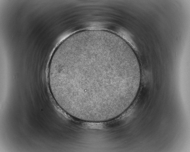 X0000086280856200704122046