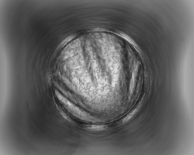 X0000086280857200704122046