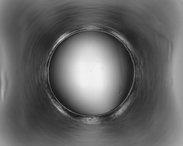 X0000086280858200704122046