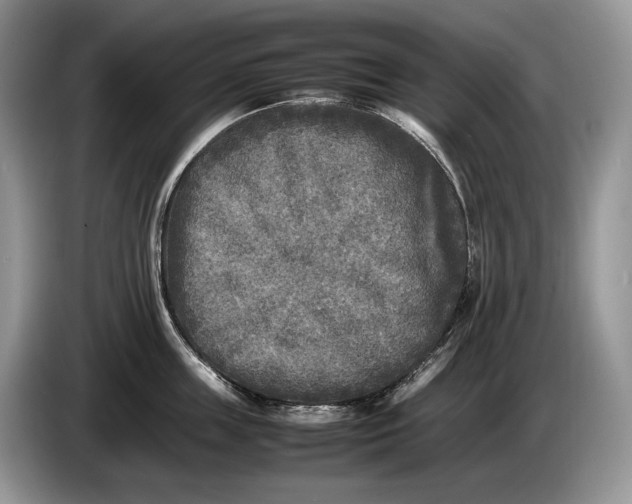 X0000086280859200704122046