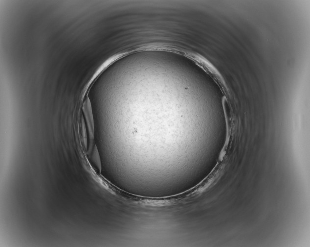 X0000086280860200704122046