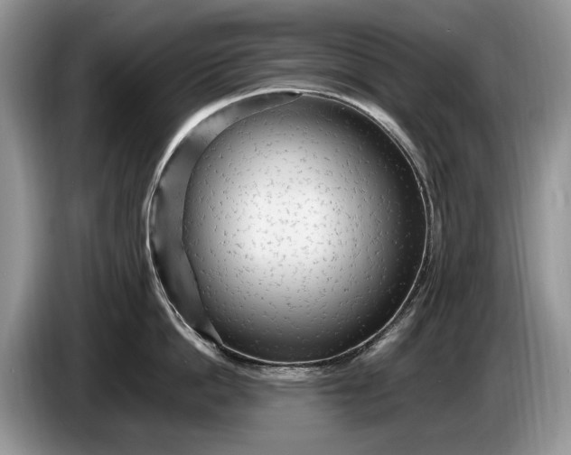 X0000086280862200704122046