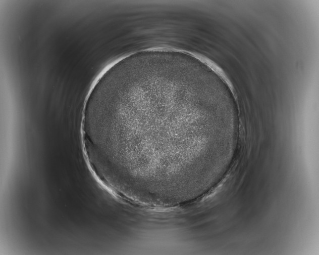 X0000086280863200704122046