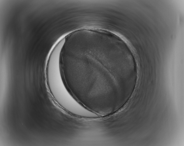 X0000086280864200704122046