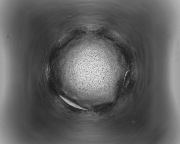 X0000086280866200704122045