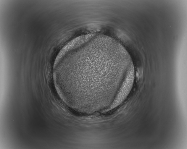 X0000086280867200704122045