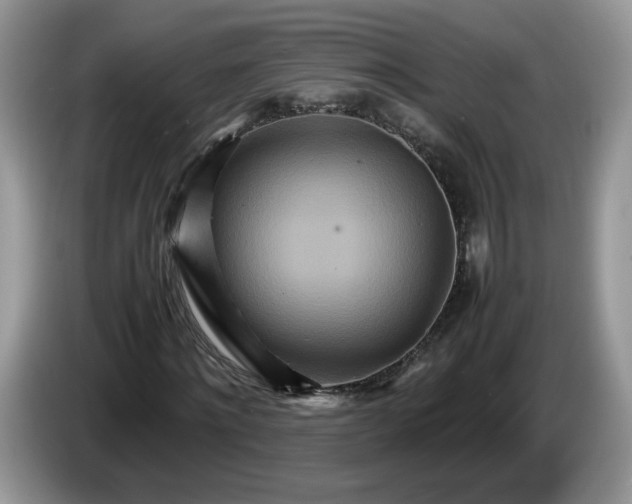 X0000086280868200704122045