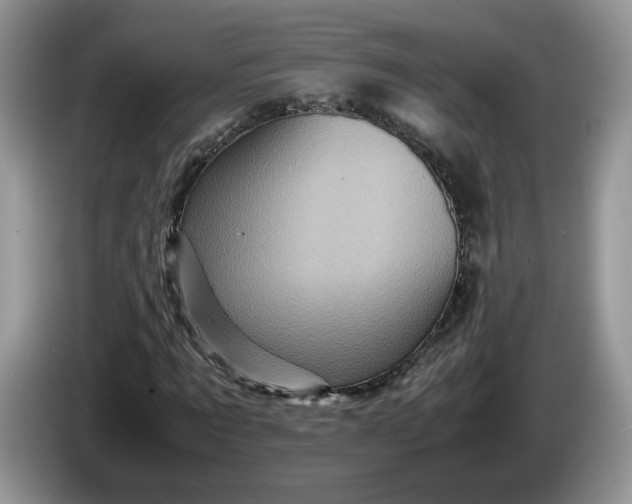 X0000086280869200704122045