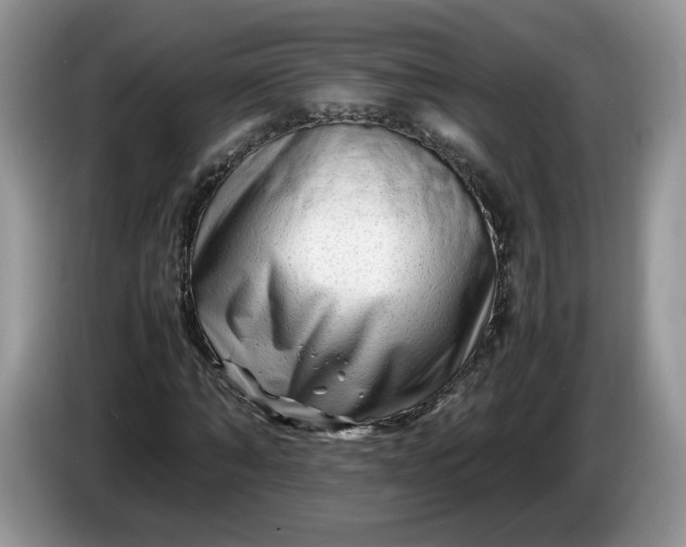 X0000086280870200704122045