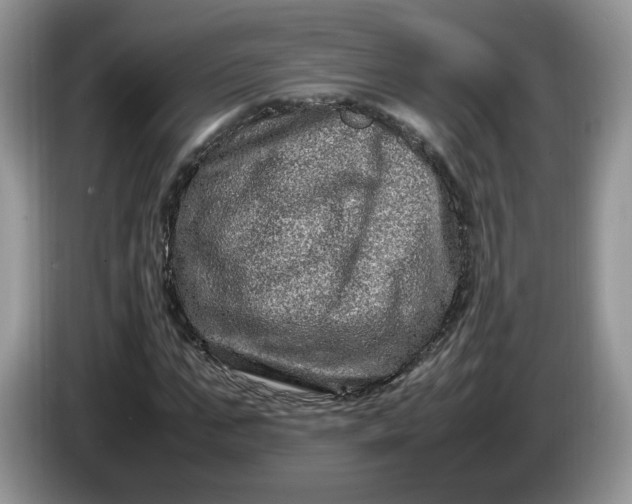 X0000086280871200704122045