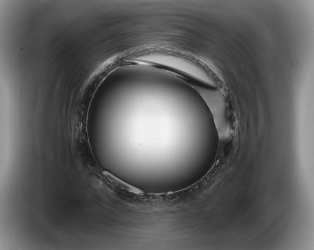 X0000086280872200704122045