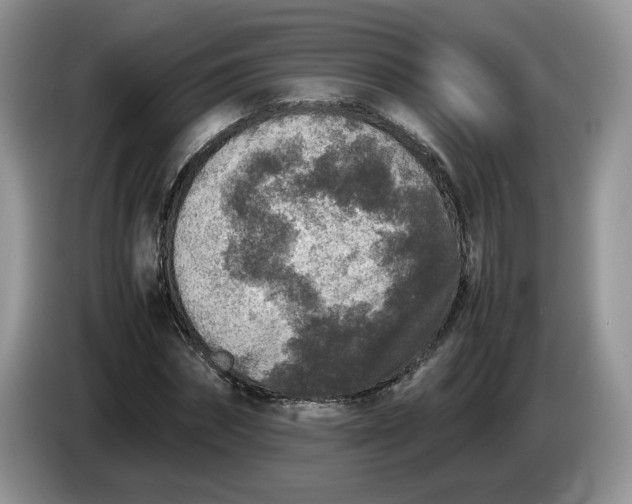 X0000086280874200704122045