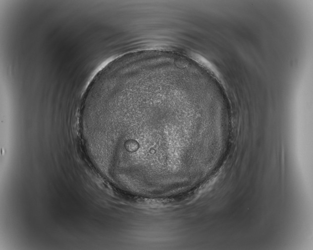 X0000086280875200704122045