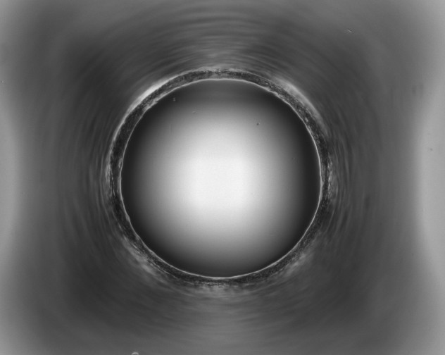 X0000086280876200704122045