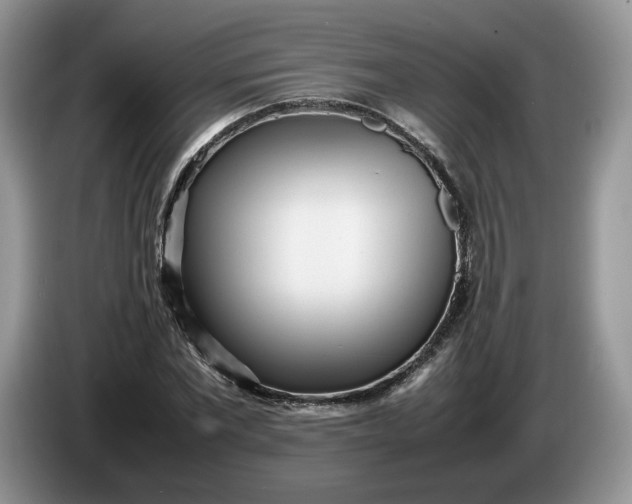 X0000086280877200704122045