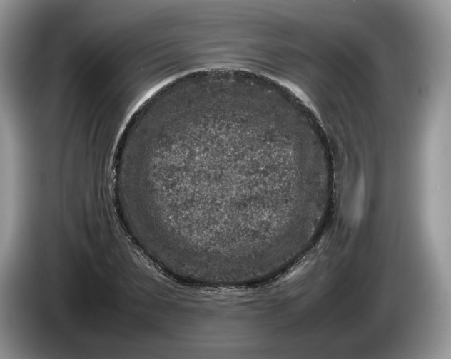 X0000086280879200704122045