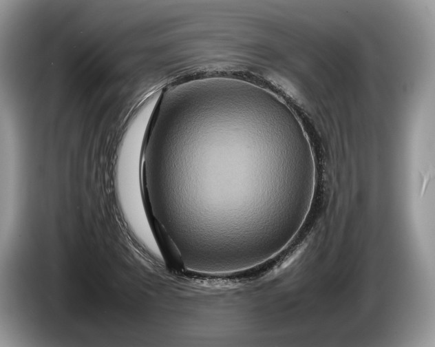 X0000086280881200704122045