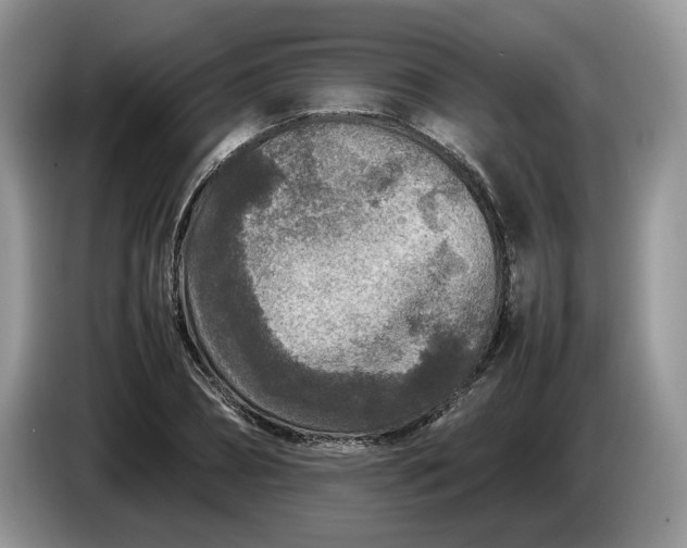 X0000086280882200704122045