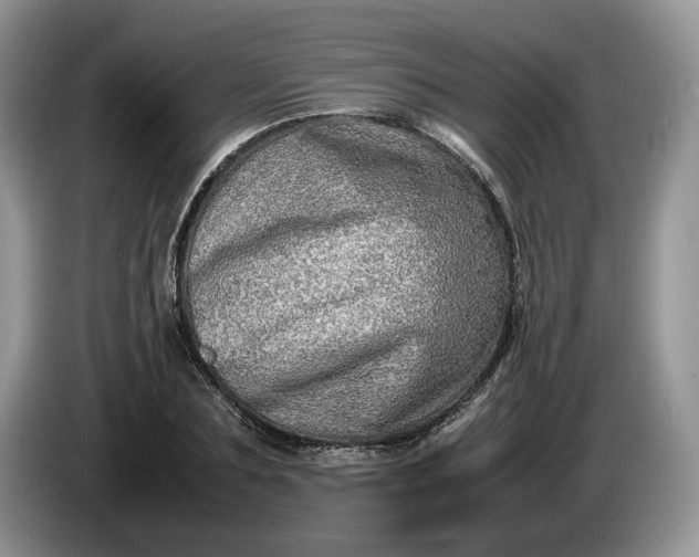 X0000086280883200704122045