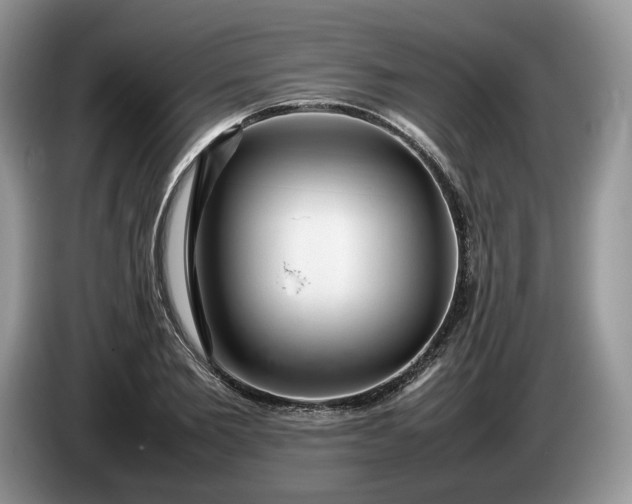 X0000086280885200704122045