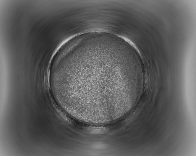 X0000086280886200704122045