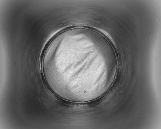 X0000086280887200704122045