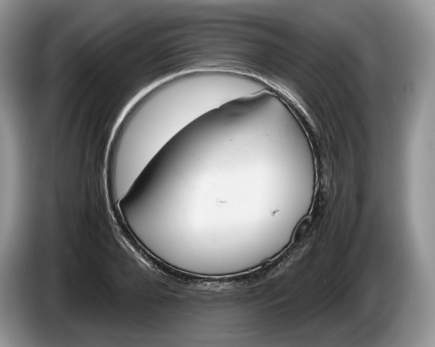 X0000086280888200704122045