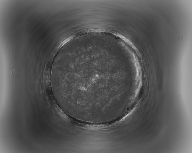 X0000086280889200704122045