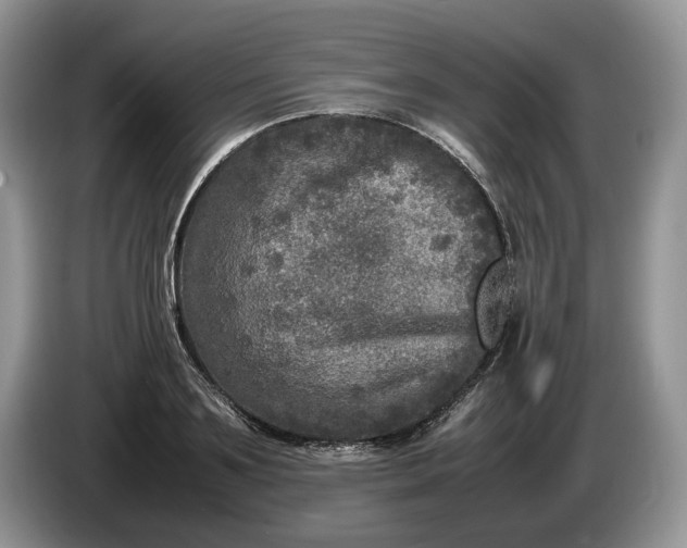 X0000086280891200704122045