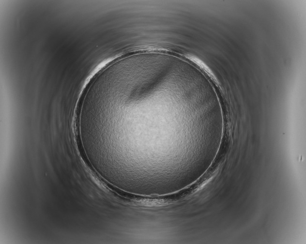 X0000086280893200704122045