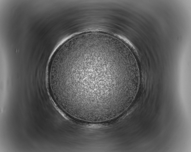 X0000086280894200704122045