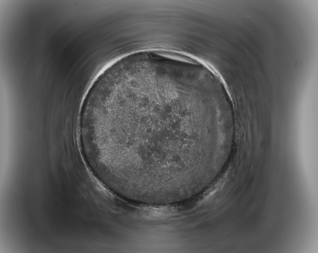 X0000086280895200704122045