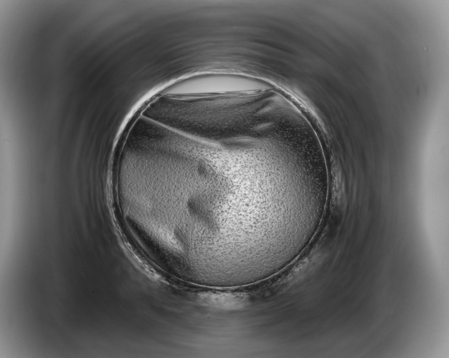 X0000086280896200704122045