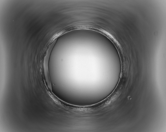 X0000086280897200704122045