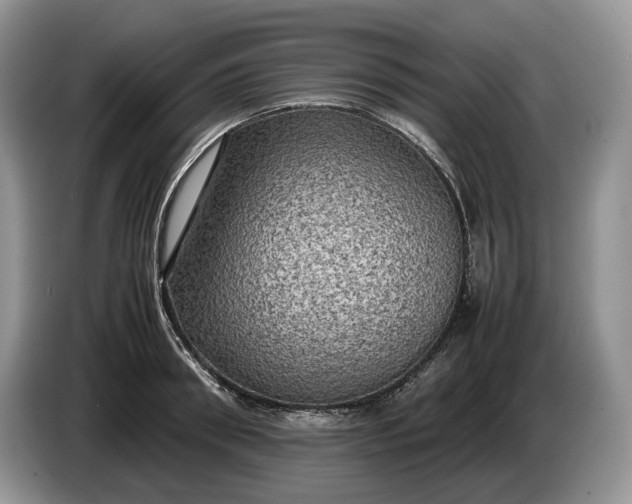 X0000086280898200704122045