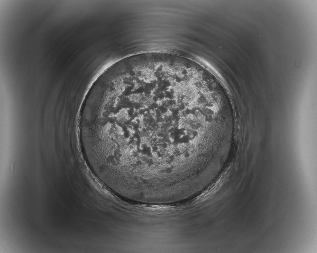 X0000086280899200704122045