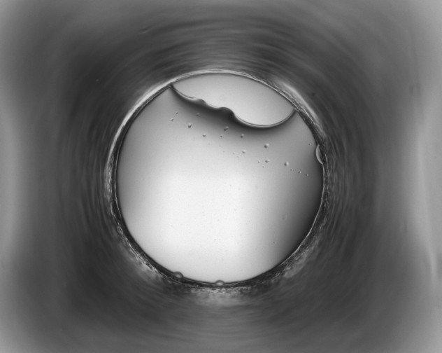 X0000086280900200704122045