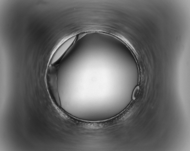 X0000086280901200704122045