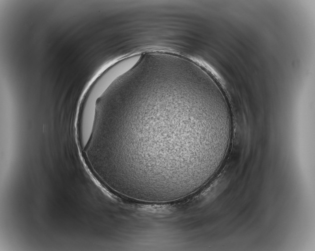 X0000086280902200704122045