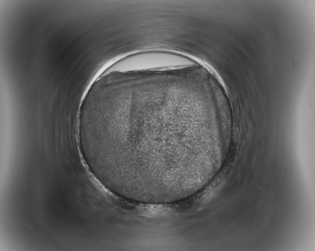 X0000086280903200704122045