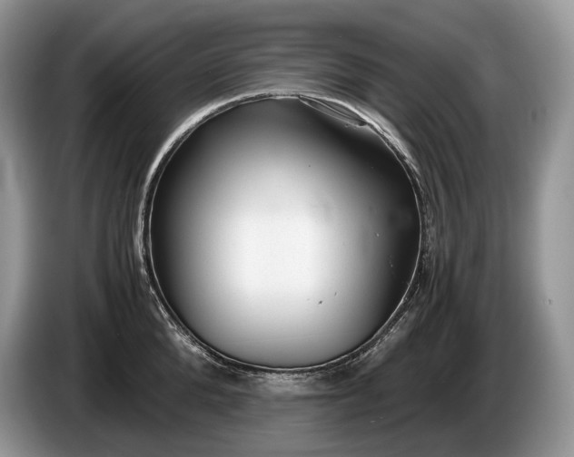 X0000086280904200704122045