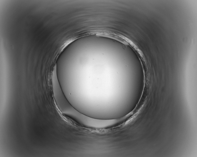 X0000086280905200704122045