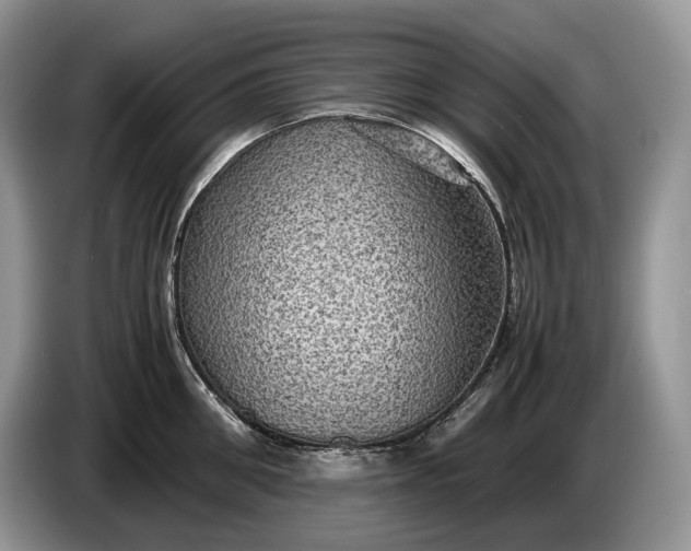 X0000086280906200704122045