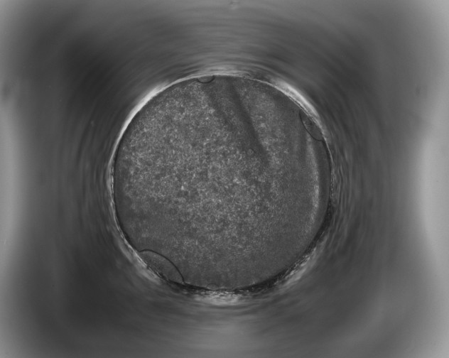 X0000086280907200704122045